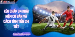Kèo Chấp 3/4 Khái Niệm Cơ Bản Và Cách Tính Tiền Chi Tiết