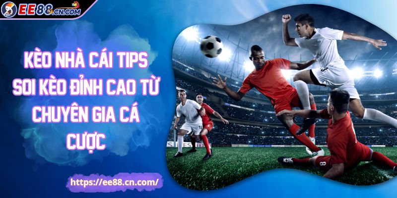 Kèo Nhà Cái Tips Soi Kèo Đỉnh Cao Từ Chuyên Gia Cá Cược