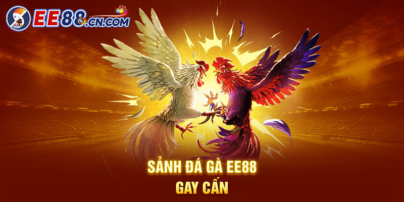 Sảnh đá gà EE88 gay cấn